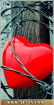 ������ ������� Red Rowes